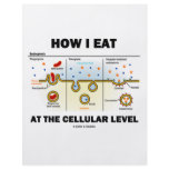 How I Eat At The Cellular Level (Endocytosis) Flyer