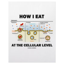 How I Eat At The Cellular Level (Endocytosis) letterhead