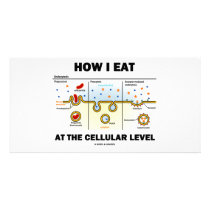 How I Eat At The Cellular Level (Endocytosis) photo cards by wordsunwords How I Eat At The Cellular Level (Endocytosis) photo cards