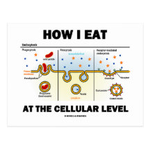 How I Eat At The Cellular Level (Endocytosis) Post Cards