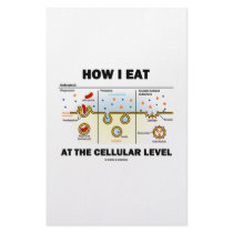 How I Eat At The Cellular Level (Endocytosis) stationery