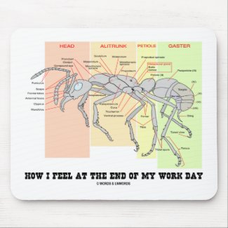How I Feel At The End Of My Work Day (Worker Ant) Mousepads