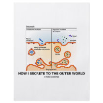 How I Secrete To The Outer World (Exocytosis) flyers