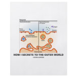 How I Secrete To The Outer World (Exocytosis) flyers