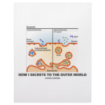 How I Secrete To The Outer World (Exocytosis) Personalized Letterhead