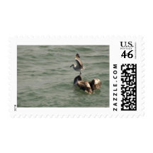 How Long Can You Hold Your Breath? Stamp