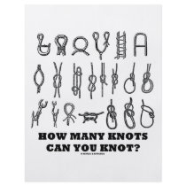 How Many Knots Can You Knot? flyers