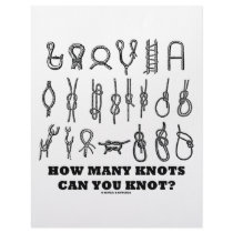 How Many Knots Can You Knot? letterhead
