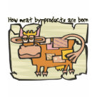 ladies_fitted_babydoll - How Meat by-products are born.: Sizes  Available colors: white