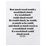 How Much Wood Would A Woodchuck Chuck Twister Flyer Design