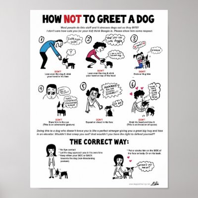 How Not To Greet A Dog (11" x 14") Kid-Friendly Posters