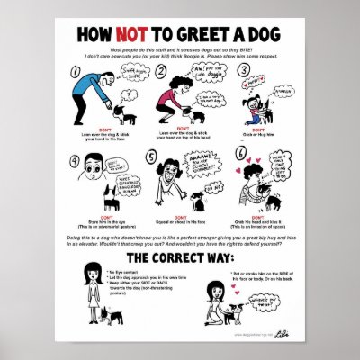 How Not To Greet A Dog (11" x 14", version 2) Posters by lilita