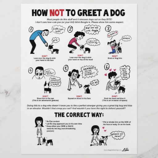 How Not To Greet A Dog - 8.5" x 11" flyers