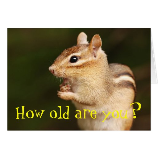 How Old Are You Chipmunk Birthday Card Zazzle