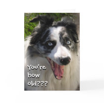 How Old Card