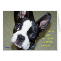 How Old In Dog Years? Cards