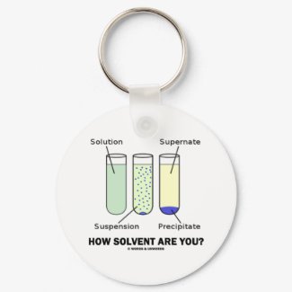 How Solvent Are You? (Chemistry Humor) keychain