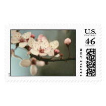 How Sweet The Blossom postage