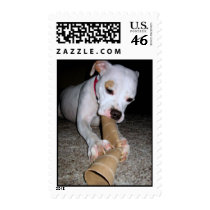 How tasty! postage