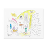 How the Eye Works Post Card