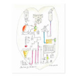 How the Heart Works Post Cards