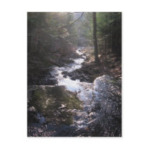 how the water flows postcards