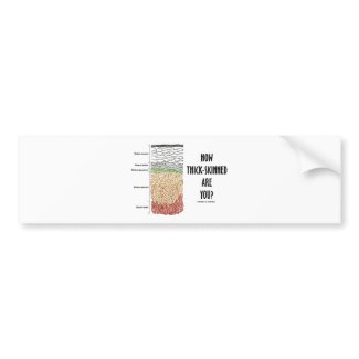How Thick-Skinned Are You? (Epidermis Skin Layers) bumpersticker