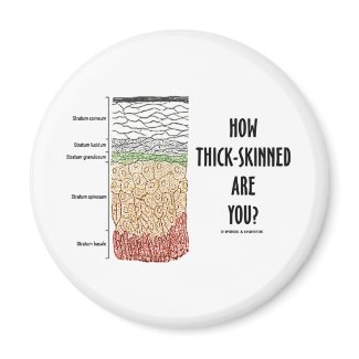 How Thick-Skinned Are You? (Epidermis Skin Layers) Magnet