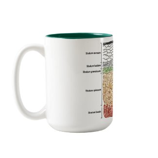 How Thick-Skinned Are You? (Epidermis Skin Layers) mug