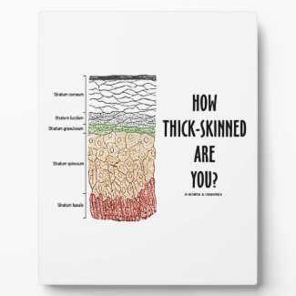 How Thick-Skinned Are You? (Epidermis Skin Layers) Photo Plaque