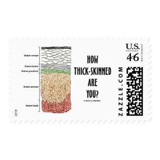 How Thick-Skinned Are You? (Epidermis Skin Layers) Postage