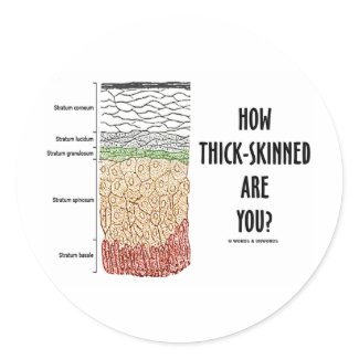 How Thick-Skinned Are You? (Epidermis Skin Layers) sticker