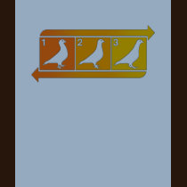 How to do the Pigeon t-shirts