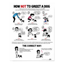 How To Greet A Dog poster (11 x 14")