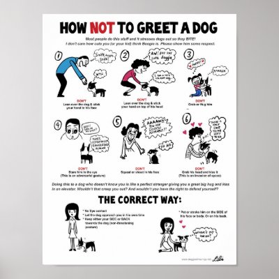 How To Greet A Dog poster (11 x 14") by lilita