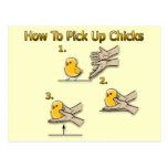 How To Pick Up Chicks Funny Directions Postcards
