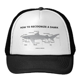 How To Recognize A Shark (Biology Humor) Hat