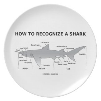 How To Recognize A Shark (Biology Humor) Plates