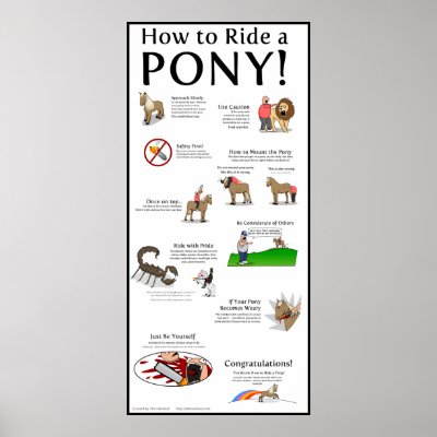 How to Ride a Pony Poster by matthewinman