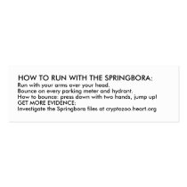 HOW TO RUN WITH THE SPRINGBORA business cards by avantgame HOW TO RUN WITH THE SPRINGBORA business cards