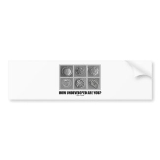 How Undeveloped Are You? (Embryos / Zygotes) bumpersticker