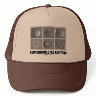 How Undeveloped Are You? (Embryos / Zygotes) hat