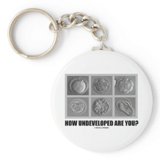 How Undeveloped Are You? (Embryos / Zygotes) Keychain