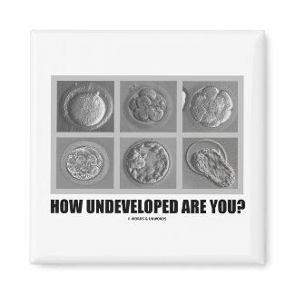 How Undeveloped Are You? (Embryos / Zygotes) magnet