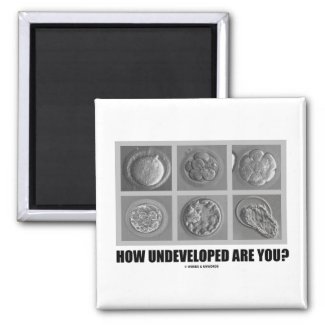 How Undeveloped Are You? (Embryos / Zygotes) Refrigerator Magnets