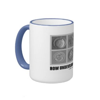 How Undeveloped Are You? (Embryos / Zygotes) mug