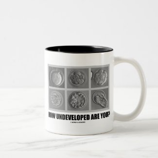 How Undeveloped Are You? (Embryos / Zygotes) Mug
