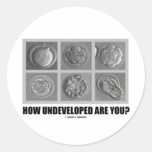 How Undeveloped Are You? (Embryos / Zygotes) Round Sticker