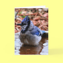 How was your day Card