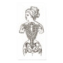 How Women Suffer for Beauty: The Impact of Corsets